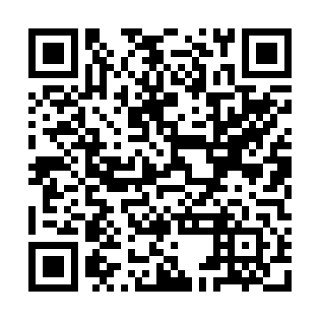 QR code for plate YEL 242