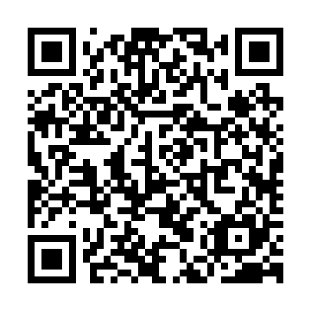 QR code for YER 225