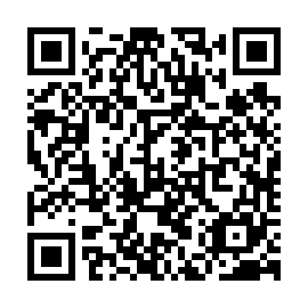 QR code for YER 665
