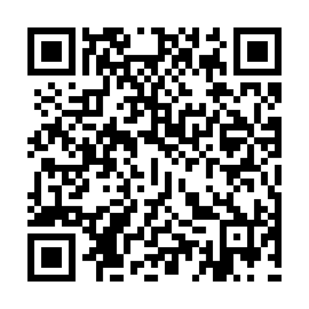 QR code for plate YEU 290