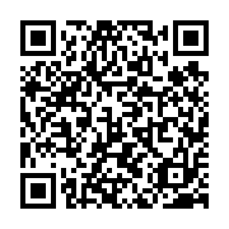 QR code for YEV 613