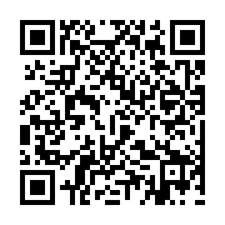 QR code for YEV389