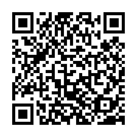 QR code for plate YFC 438