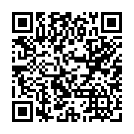 QR code for YFG 385