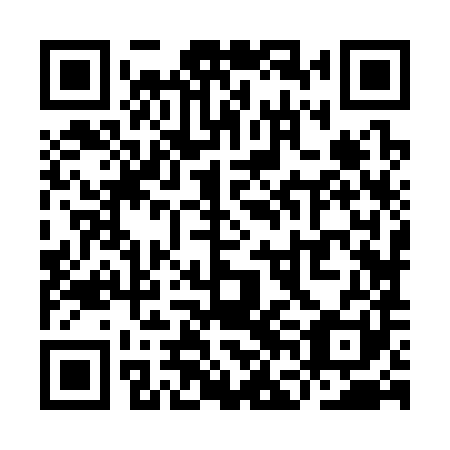 QR code for YFJ 381