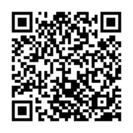 QR code for YFO 411