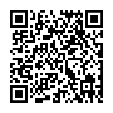 QR code for YFR029