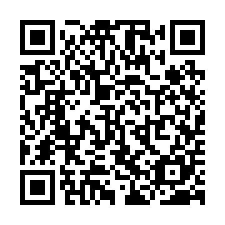 QR code for plate YFS 205