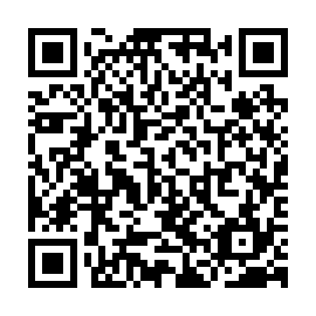 QR code for YFS234