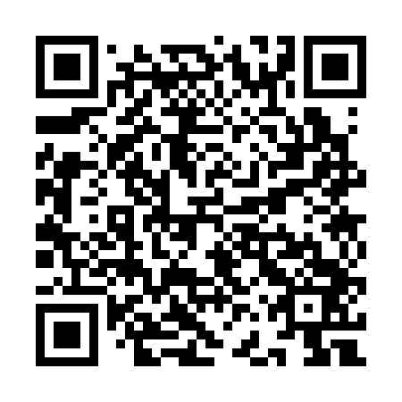 QR code for plate YFS 343