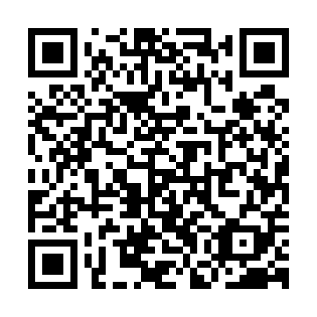 QR code for plate YGE 509