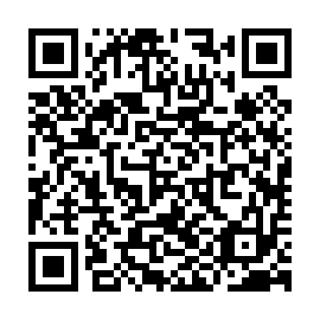 QR code for YIB 013