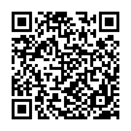 QR code for YIF 596