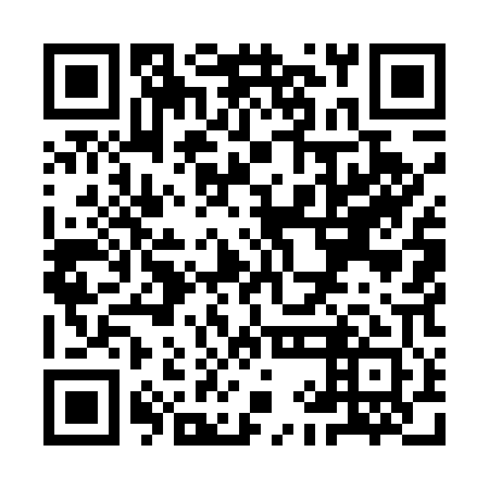 QR code for plate YIM 501
