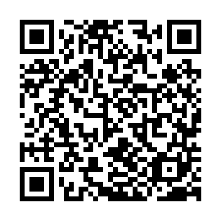 QR code for YIN 241