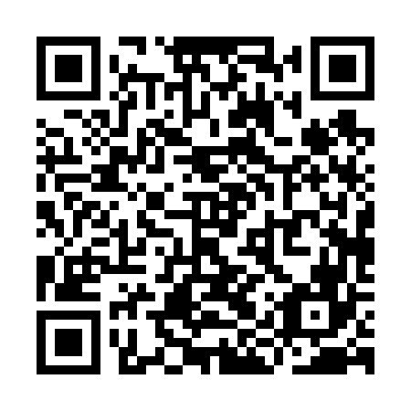 QR code for YIP 666