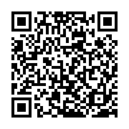 QR code for YIW 133