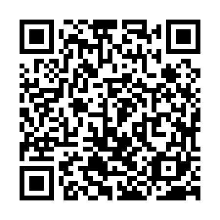 QR code for YIZ 161