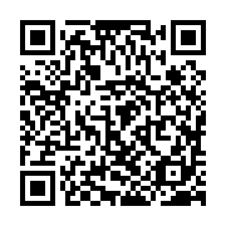 QR code for plate YIZ 190