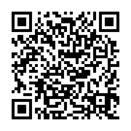 QR code for plate YJJ 311