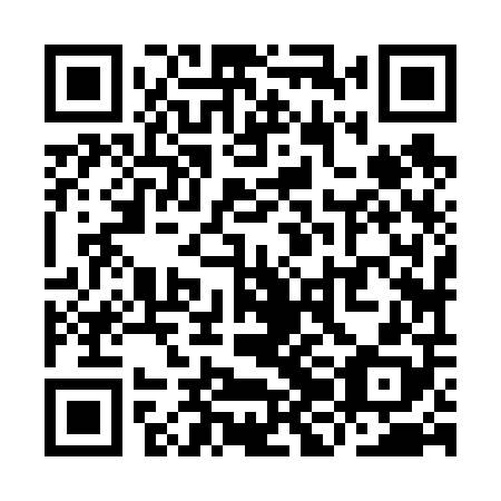 QR code for plate YJJ 608