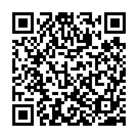 QR code for plate YLG 673