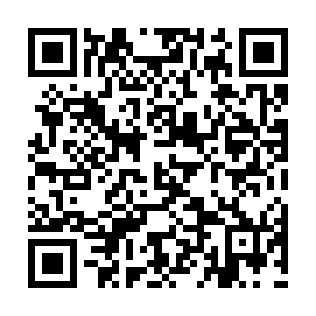 QR code for YLL 370