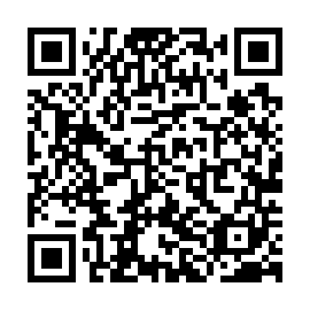 QR code for YLL 741