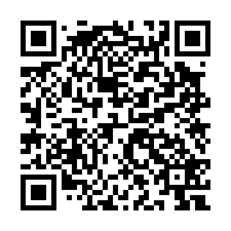 QR code for plate YLO 029