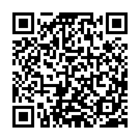 QR code for plate YLP 850