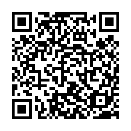 QR code for plate YLQ 451