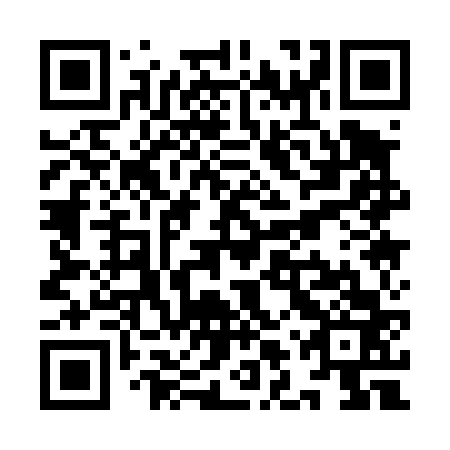 QR code for plate YLQ 463