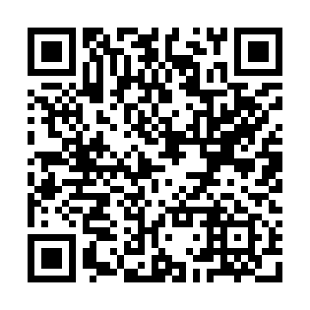 QR code for YLY 919