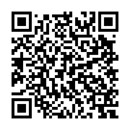 QR code for YLZ013