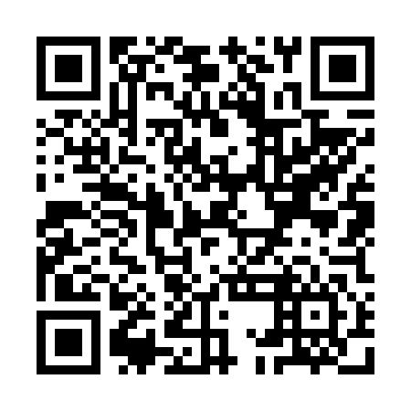 QR code for YMO 646