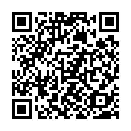QR code for YMO738