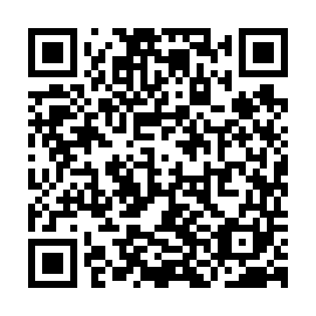 QR code for plate YNI 641