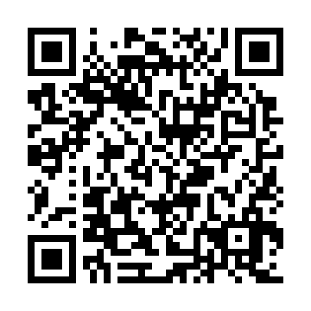 QR code for plate YNN 336