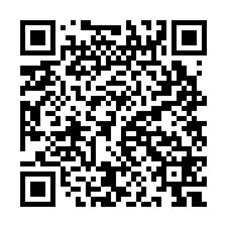 QR code for plate YNR 368