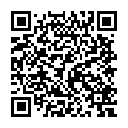 QR code for plate YNY 509