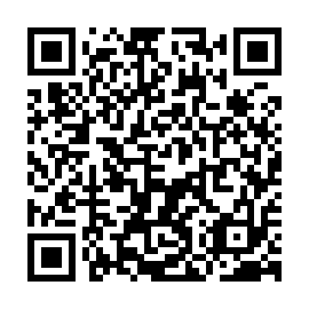 QR code for plate YOW 913