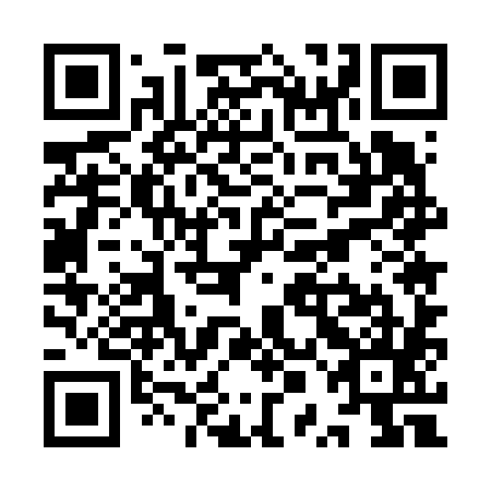 QR code for plate YPE 685