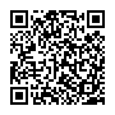 QR code for YPF 463