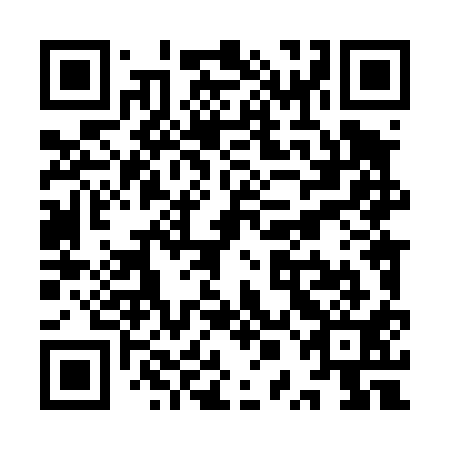 QR code for YPL 411