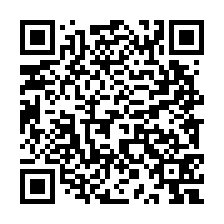 QR code for YPL771