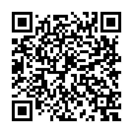 QR code for plate YPM 920