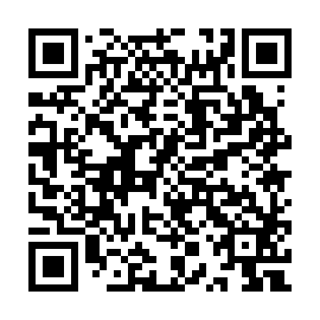 QR code for plate YPQ 382