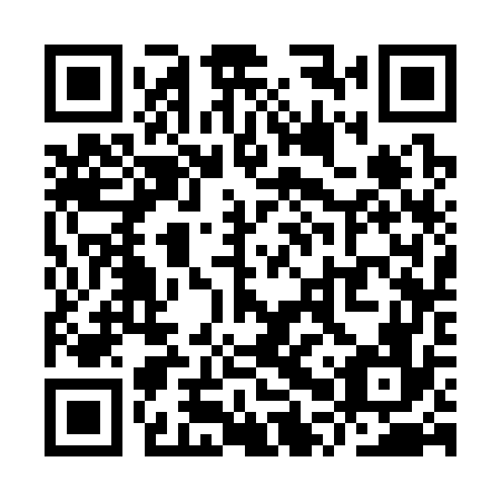 QR code for plate YPS 376