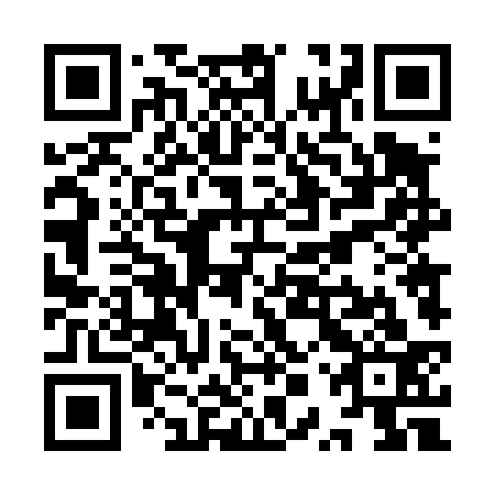 QR code for plate YPT 433
