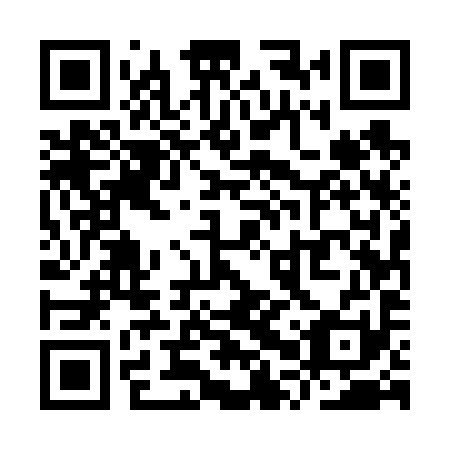 QR code for plate YPU 691